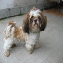 영림축산 이미지