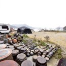 꽃주렁 나무주렁 캠핑장 이미지