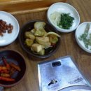 참소오리 이미지