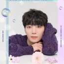 김종현 카카오 검색결과