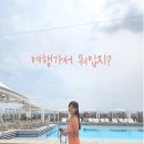 드림호 이미지