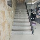 사랑동물병원 | [ 수성구 동물병원 ] 대구 수성동 대구은행역 근처 고양이접종 &#39;사랑동물병원&#39;