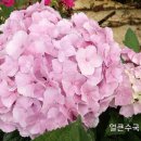 얼큰하우스 이미지