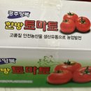 진하농원
