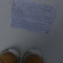 (청소년) 100권 읽기 독서캠페인 | 다시 솟아오르는 감정의 요동을 겪던 나는 잊을 수 없는 여름을 뜨거운 여름을 맞았다.