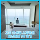 모닝하버 펜션 | 고성 오션뷰 스파 펜션 : 모닝하버 방문후기 (ft. 바다)