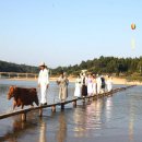 영주이야기 이미지