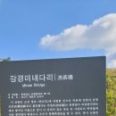 논산 강경 미내다리와 온빛자연휴양림 이미지