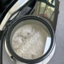 월평새뜸로 | 대전 매트리스 청소, 글림케어 대전점 후기