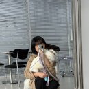 엔지알(ngr) 이미지