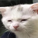 뽀글이미용실 이미지