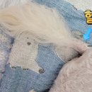 쏭트리밍 이미지