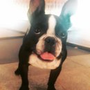 사림동286 이미지