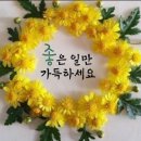 이동-5 이미지