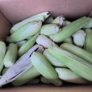 금당골농장 이미지