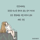 드로잉제인