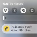 수산물시장입구 버스승강장 | 26.03.29 대구벚꽃명소 83타워 빨간버스 포토존 수성못 개화상황