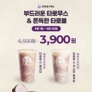 잘하네일 | [차백도 성신여대점] 이 집 타로 잘하네 -타로무스밀크티 후기
