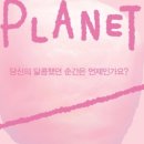 슈가래빗