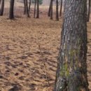 수하농장 이미지