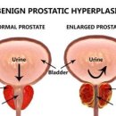 허그동물의료센터 이미지