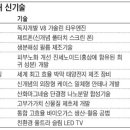 보라기술