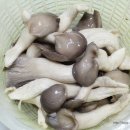 오징어 버섯 야채볶음 이미지