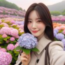 장생포 수국축제 2025 일정·입장료·인생샷 스팟 총정리