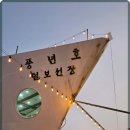 털보애견 이미지