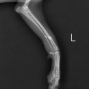 그랜드24시동물병원 이미지