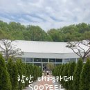 숲필 네이버블로그