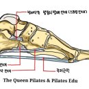 바를정핏PT 이미지