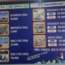 두 바퀴로 그린 자전거 여행 | 강릉 경포호수 자전거대여 내돈내산 그린바이크 가족자전거 전기자전거 가격 후기