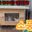 나루팜