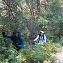 상지목장 이미지