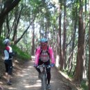 초연중학교 이미지