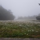 영흥13리마을회관 이미지