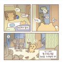 2022. 10월 #3 : 일상, 대봉동 카페 언밸런스, 합천 신소양체육공원 핑크뮬리