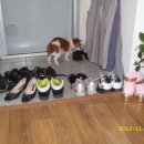 예슬농장 이미지