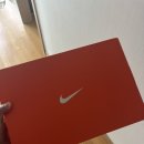 프리와이드 | 나이키 골프화 스파이크리스 발볼러 후기 - 나이키 프리 골프NN (와이드)