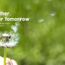 (주)태준제약 이미지