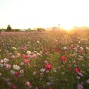 (유)매일교통 이미지