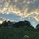 하모니마트 이미지