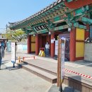 암곡와동 | 2023년 참고하면 좋을 경주 벚꽃명소&amp;대릉원, 천마총