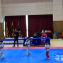 한국체대 정진태권도 이미지