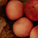 금비농장 이미지