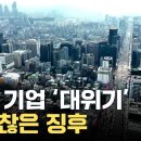 한국 기업 빚 '심각'...부도 증가율 세계 2위 / YTN 부도 '초긴장' 속 '돈줄' 마르는 기업 이미지