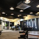 FIT U.S.A(피투사) 이미지