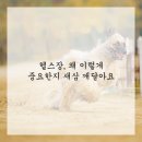 나의 운동 공간 이미지