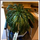 유신여행사 이미지